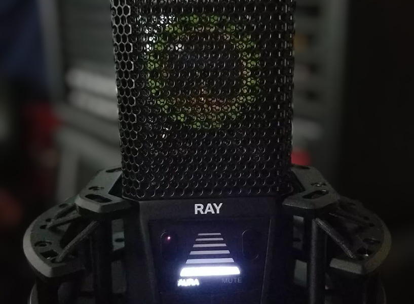 Photo of microphone on a stand